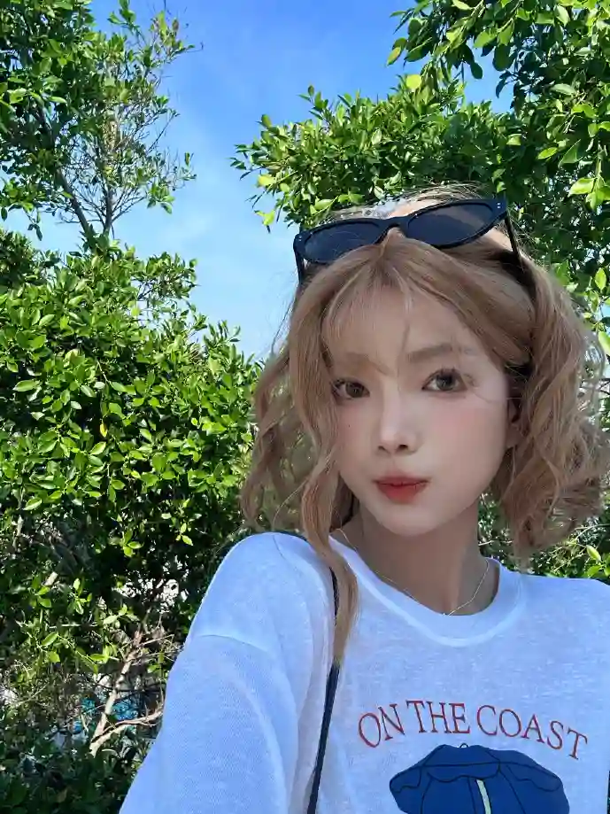 书林文学下载界面截图